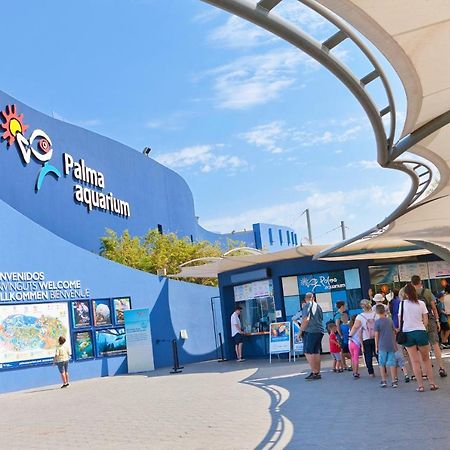 Villa Els Pins エル・アレナル エクステリア 写真